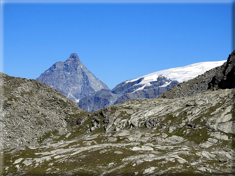 foto Corno Vitello